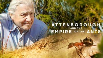 Attenborough and the Empire of the Ants