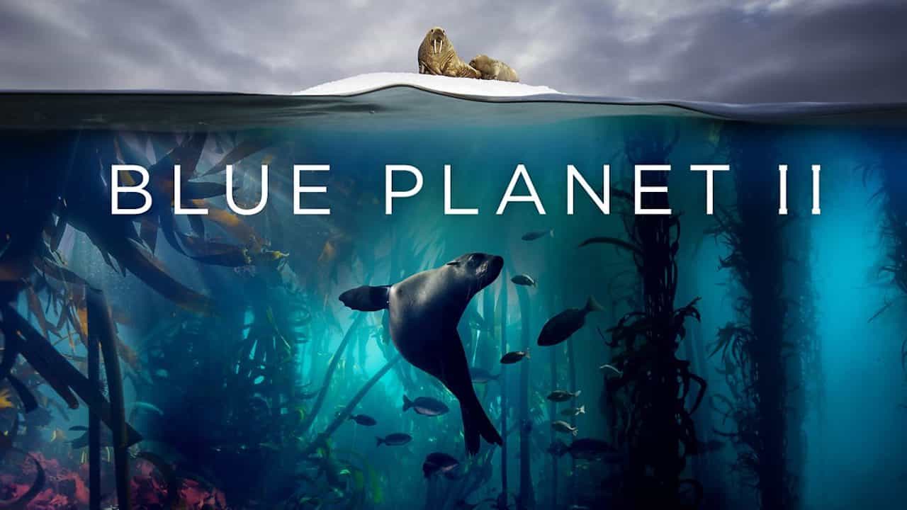 blue planet tours