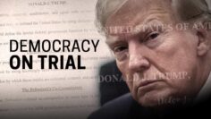 Democracy on Trial