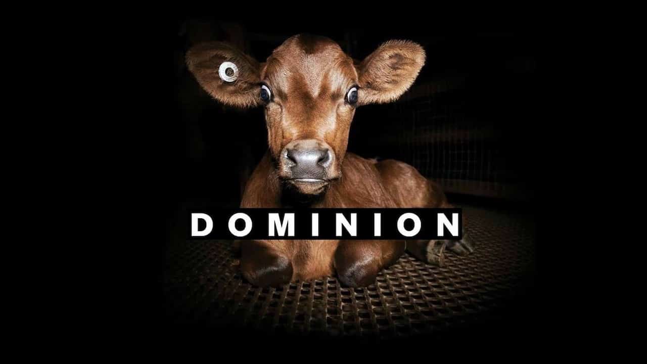 Dominion (2018) | Watch Free Documentaries Online