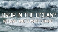 Drop in the Ocean?
