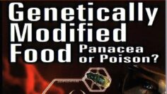 Genetically Modified Food: Panacea or Poison?