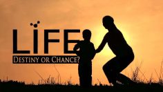 Life: Destiny or Chance