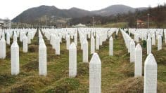 Srebrenica: A Cry from the Grave