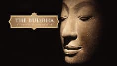 The Buddha