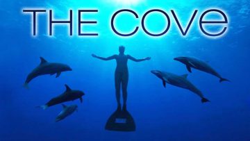 The Cove