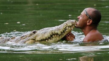 The Man Who Swims with Crocodiles