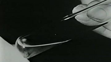 The Way of All Flesh