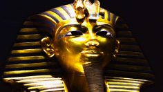 Tutankhamun: Curse of the Boy King