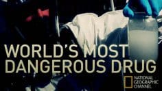 World’s Most Dangerous Drug